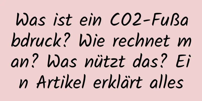 Was ist ein CO2-Fußabdruck? Wie rechnet man? Was nützt das? Ein Artikel erklärt alles