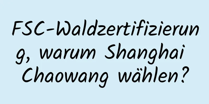 FSC-Waldzertifizierung, warum Shanghai Chaowang wählen?