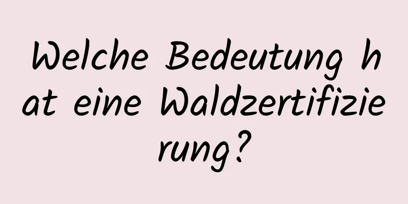 Welche Bedeutung hat eine Waldzertifizierung?