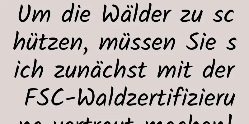 Um die Wälder zu schützen, müssen Sie sich zunächst mit der FSC-Waldzertifizierung vertraut machen!