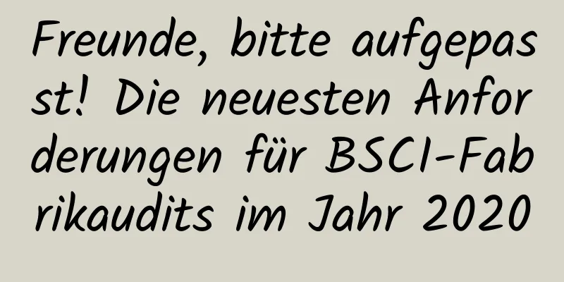 Freunde, bitte aufgepasst! Die neuesten Anforderungen für BSCI-Fabrikaudits im Jahr 2020