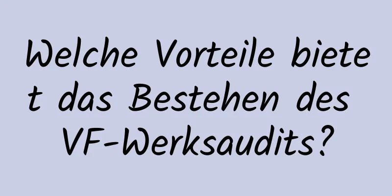 Welche Vorteile bietet das Bestehen des VF-Werksaudits?