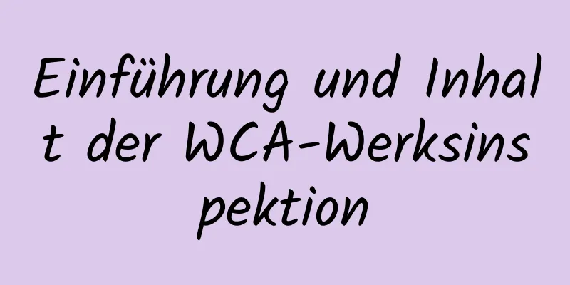 Einführung und Inhalt der WCA-Werksinspektion