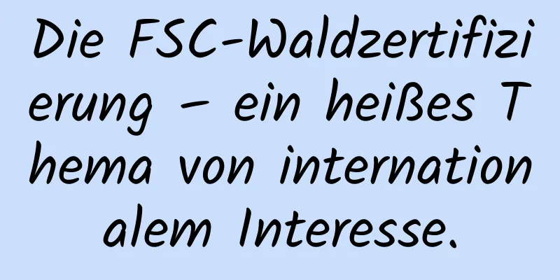 Die FSC-Waldzertifizierung – ein heißes Thema von internationalem Interesse.