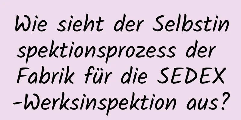 Wie sieht der Selbstinspektionsprozess der Fabrik für die SEDEX-Werksinspektion aus?