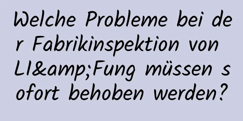 Welche Probleme bei der Fabrikinspektion von LI&Fung müssen sofort behoben werden?