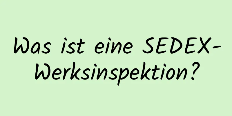 Was ist eine SEDEX-Werksinspektion?