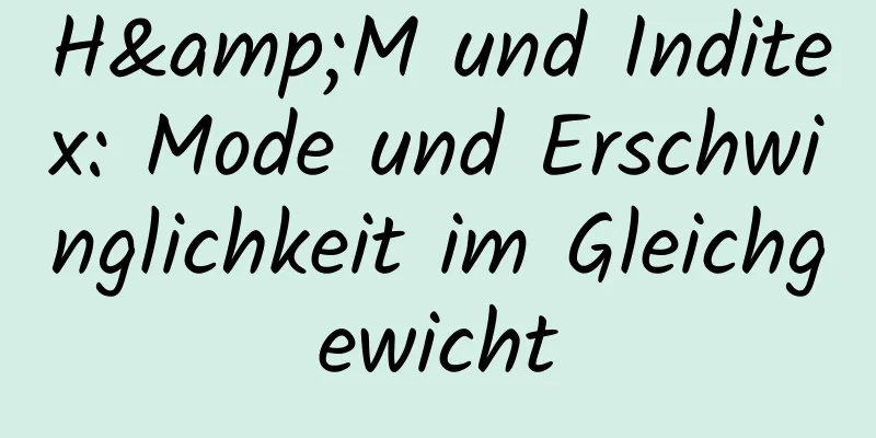 H&M und Inditex: Mode und Erschwinglichkeit im Gleichgewicht