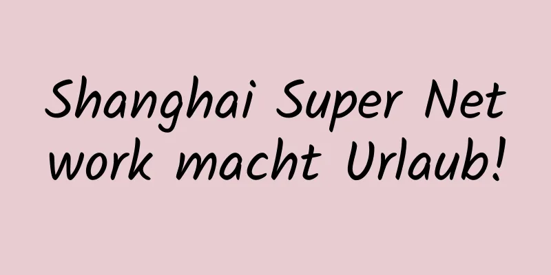 Shanghai Super Network macht Urlaub!