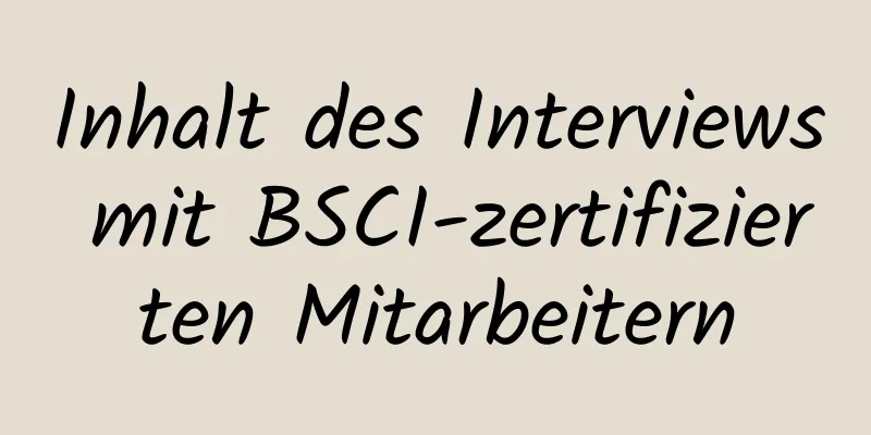 Inhalt des Interviews mit BSCI-zertifizierten Mitarbeitern