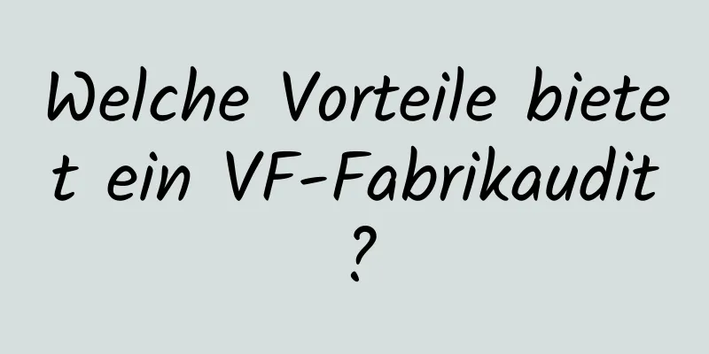 Welche Vorteile bietet ein VF-Fabrikaudit?