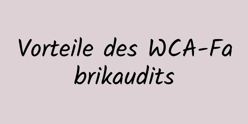 Vorteile des WCA-Fabrikaudits