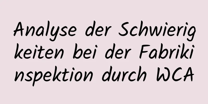 Analyse der Schwierigkeiten bei der Fabrikinspektion durch WCA