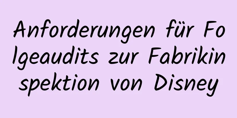 Anforderungen für Folgeaudits zur Fabrikinspektion von Disney