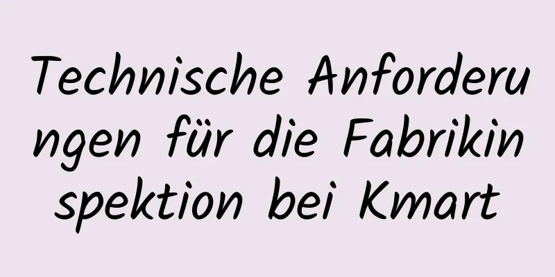 Technische Anforderungen für die Fabrikinspektion bei Kmart