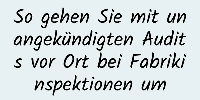 So gehen Sie mit unangekündigten Audits vor Ort bei Fabrikinspektionen um