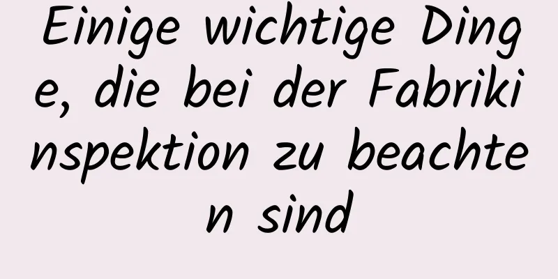 Einige wichtige Dinge, die bei der Fabrikinspektion zu beachten sind