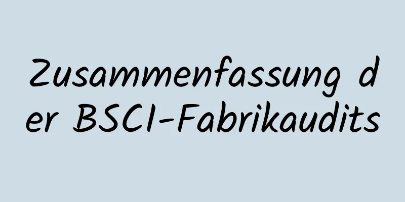 Zusammenfassung der BSCI-Fabrikaudits