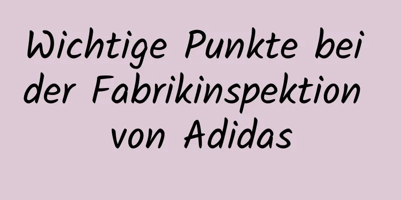 Wichtige Punkte bei der Fabrikinspektion von Adidas