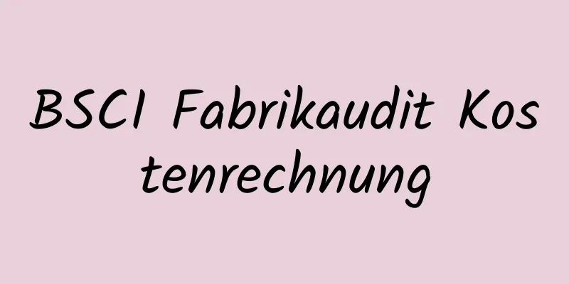 BSCI Fabrikaudit Kostenrechnung