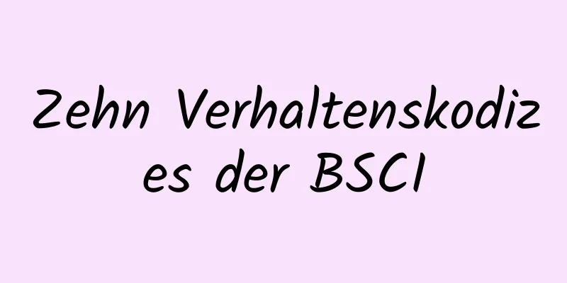 Zehn Verhaltenskodizes der BSCI