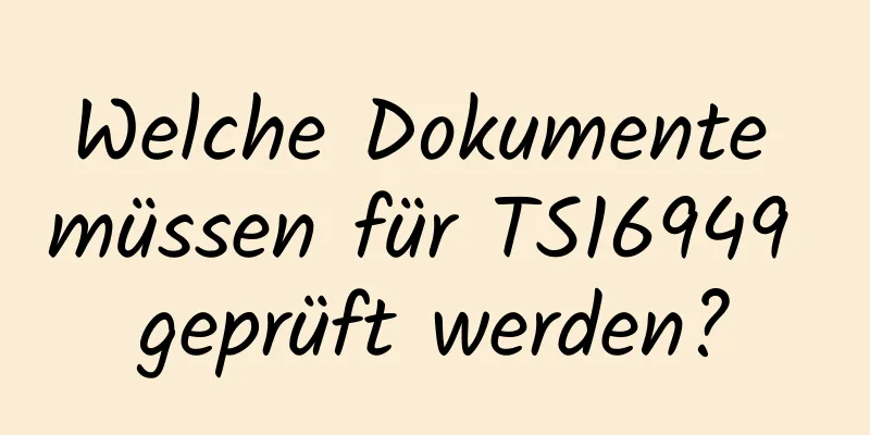 Welche Dokumente müssen für TS16949 geprüft werden?