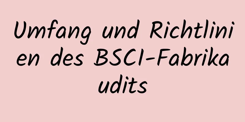 Umfang und Richtlinien des BSCI-Fabrikaudits