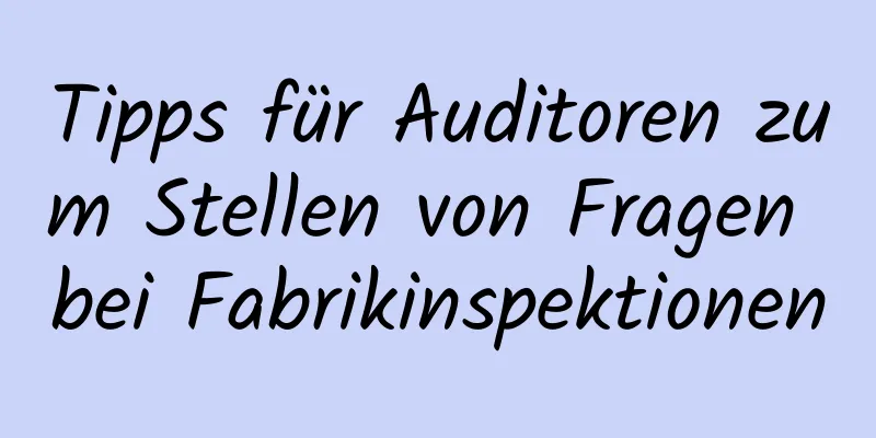 Tipps für Auditoren zum Stellen von Fragen bei Fabrikinspektionen