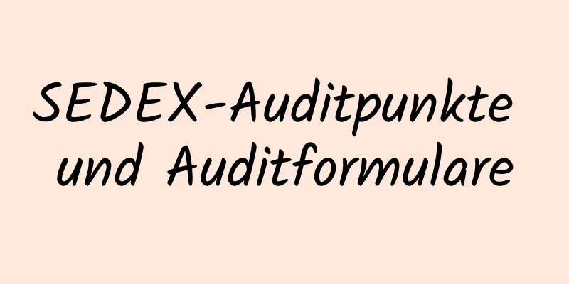 SEDEX-Auditpunkte und Auditformulare