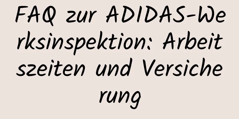 FAQ zur ADIDAS-Werksinspektion: Arbeitszeiten und Versicherung