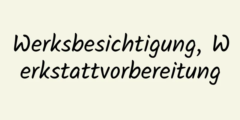 Werksbesichtigung, Werkstattvorbereitung