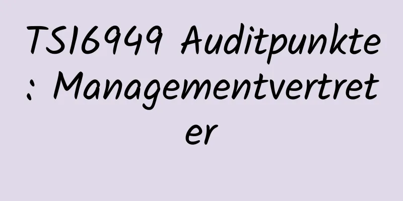 TS16949 Auditpunkte: Managementvertreter