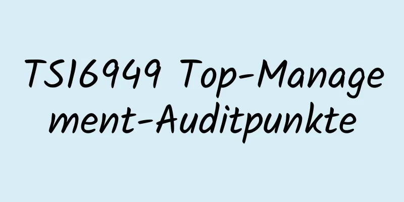 TS16949 Top-Management-Auditpunkte