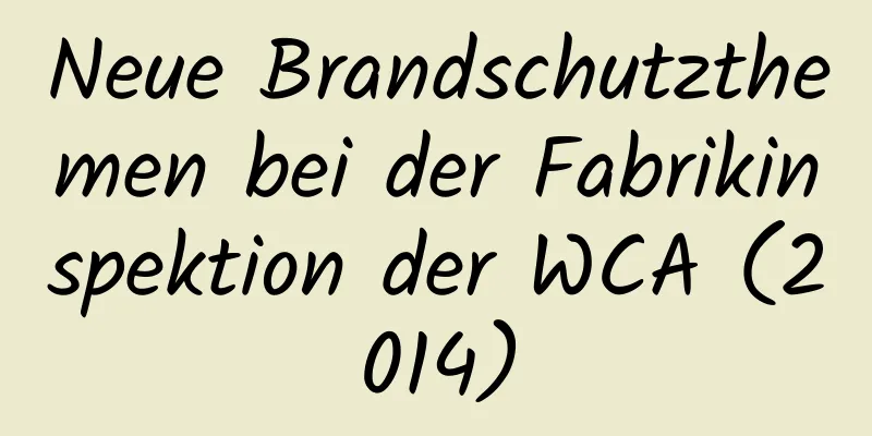 Neue Brandschutzthemen bei der Fabrikinspektion der WCA (2014)