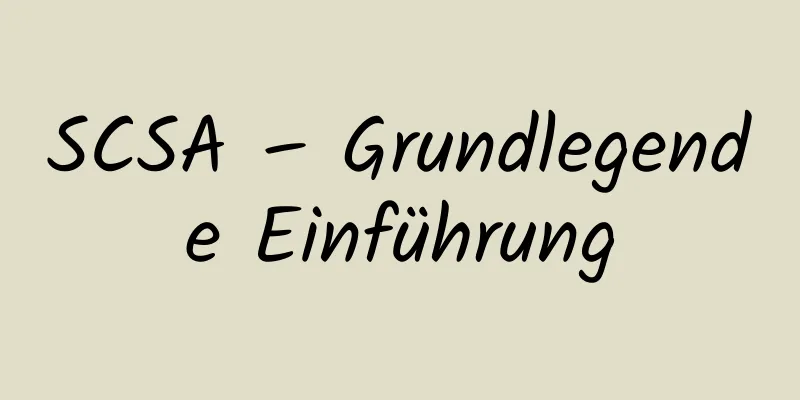 SCSA – Grundlegende Einführung