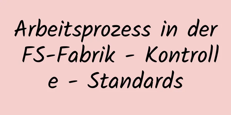 Arbeitsprozess in der FS-Fabrik - Kontrolle - Standards