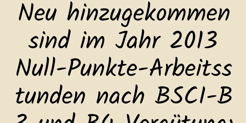 Neu hinzugekommen sind im Jahr 2013 Null-Punkte-Arbeitsstunden nach BSCI-B3 und B4-Vergütung: