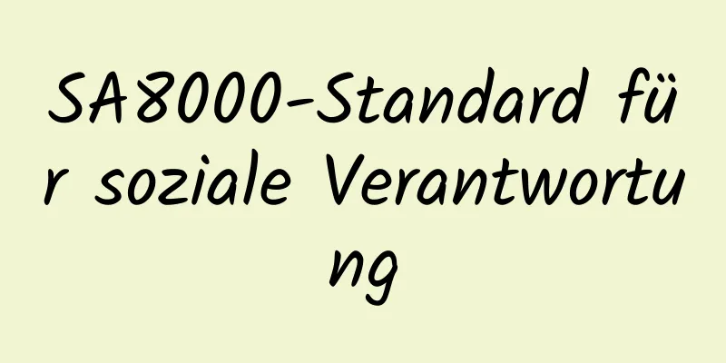 SA8000-Standard für soziale Verantwortung