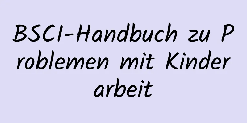 BSCI-Handbuch zu Problemen mit Kinderarbeit