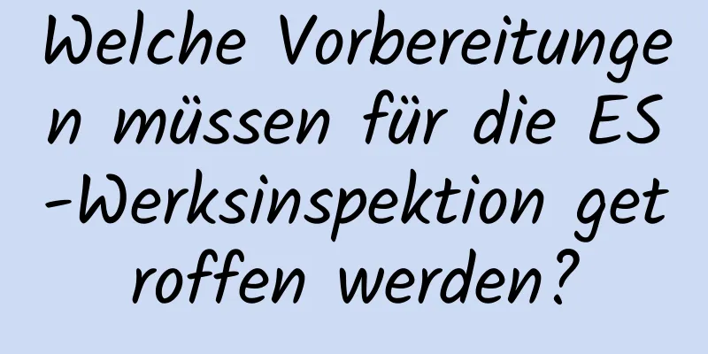 Welche Vorbereitungen müssen für die ES-Werksinspektion getroffen werden?