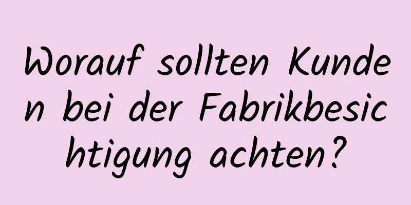 Worauf sollten Kunden bei der Fabrikbesichtigung achten?