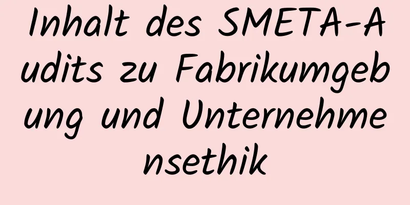 Inhalt des SMETA-Audits zu Fabrikumgebung und Unternehmensethik