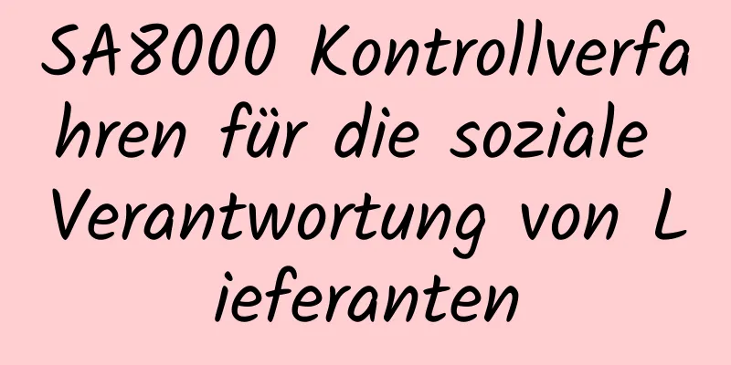 SA8000 Kontrollverfahren für die soziale Verantwortung von Lieferanten