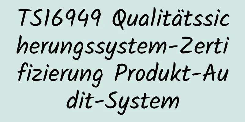 TS16949 Qualitätssicherungssystem-Zertifizierung Produkt-Audit-System