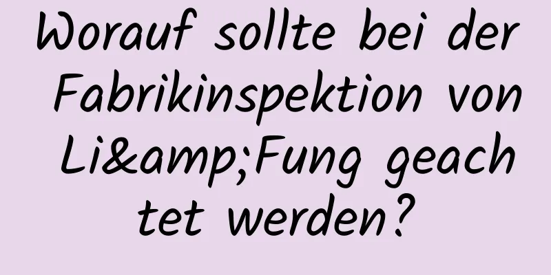 Worauf sollte bei der Fabrikinspektion von Li&Fung geachtet werden?