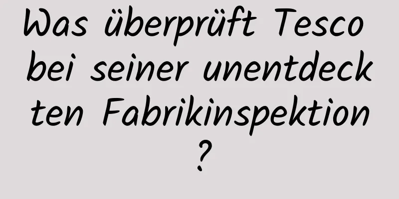 Was überprüft Tesco bei seiner unentdeckten Fabrikinspektion?