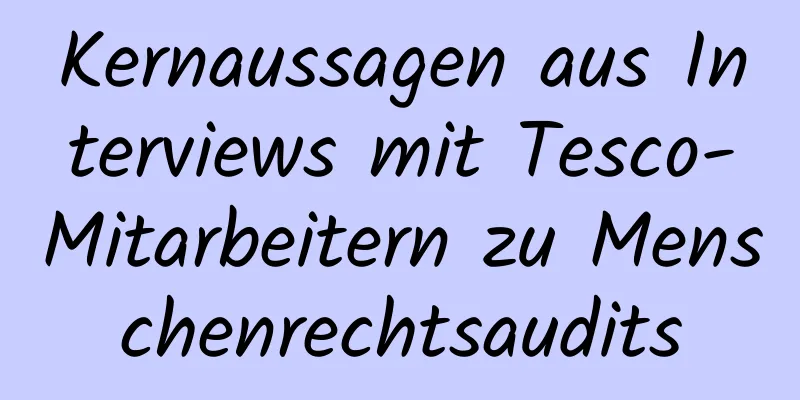 Kernaussagen aus Interviews mit Tesco-Mitarbeitern zu Menschenrechtsaudits