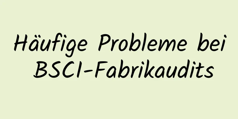 Häufige Probleme bei BSCI-Fabrikaudits