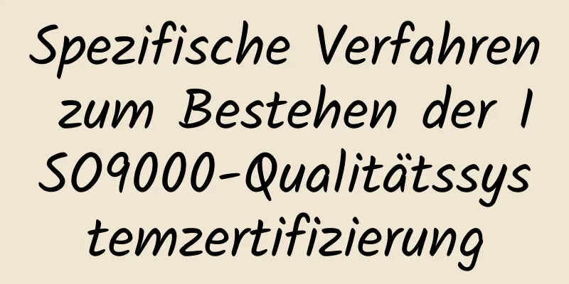 Spezifische Verfahren zum Bestehen der ISO9000-Qualitätssystemzertifizierung