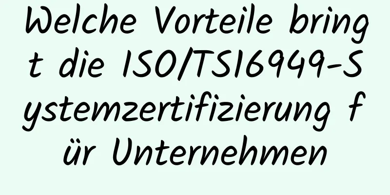 Welche Vorteile bringt die ISO/TS16949-Systemzertifizierung für Unternehmen